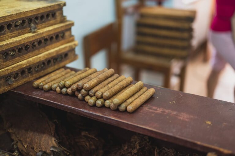 The 7 Best Shops to Find AJ Fernandez Cigars Near Raleigh, NC in 2026
